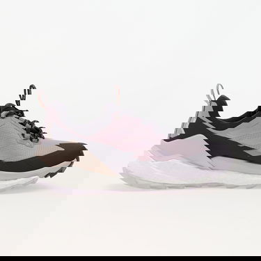 Tenisky a topánky adidas Performance Terrex Free Hiker 2 Low Gtx W Prlofi/ Silver Dawn/ Aurbla Fialová | IH3540, 2