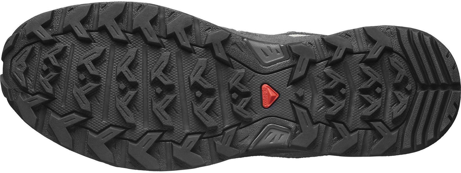 Tenisky a topánky Salomon X Ward Leather GTX Hiking Boots Šedá | L47182100, 1