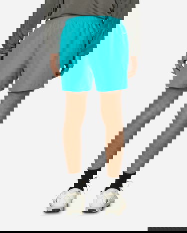 Šortky Nike ACG Reservoir Goat Shorts Dusty Cactus Tyrkysová | FN2472-345, 3