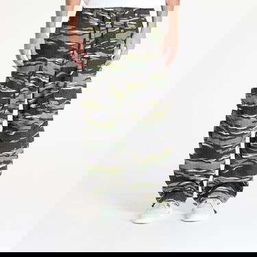 Cargo nohavice Vans LX Terrain Cargo Pant Camo Rôznofarebný | VN000MECCMA1, 0