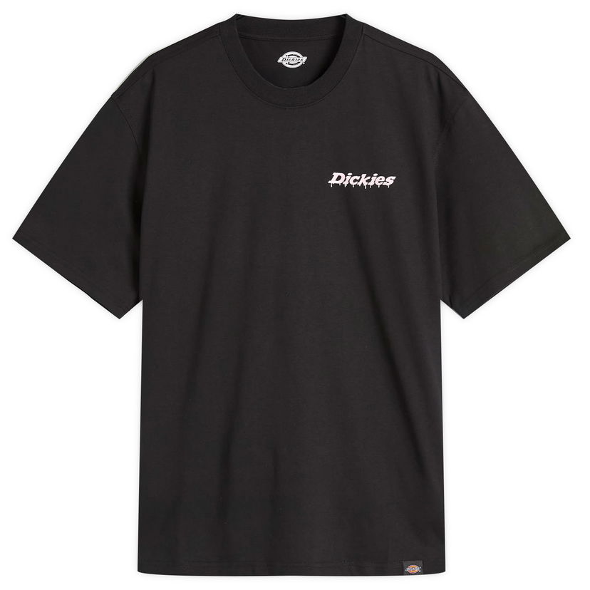 Tričko Dickies Statesville T-Shirt, Size Large Čierna | DK0A87QPBLK1