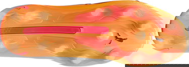 Tenisky a topánky Puma KING ULTIMATE FG/AG Football Boots Oranžová | 107565-005, 5