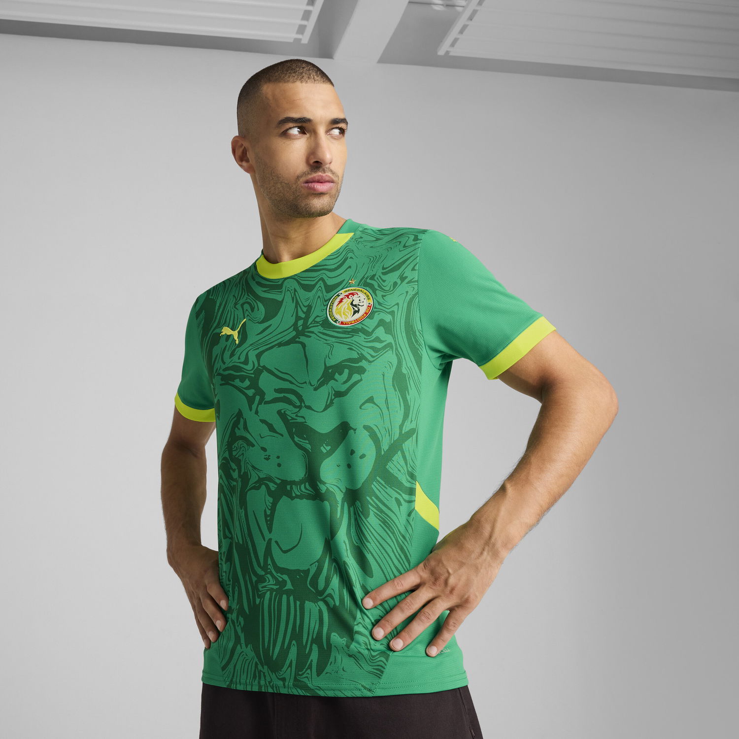 Tričko Puma Senegal 2025 Away Replica Jersey Zelené | 777166_03, 0