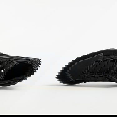 Tenisky a topánky adidas Performance Terrex Hikster W Čierna | FW0387, 2