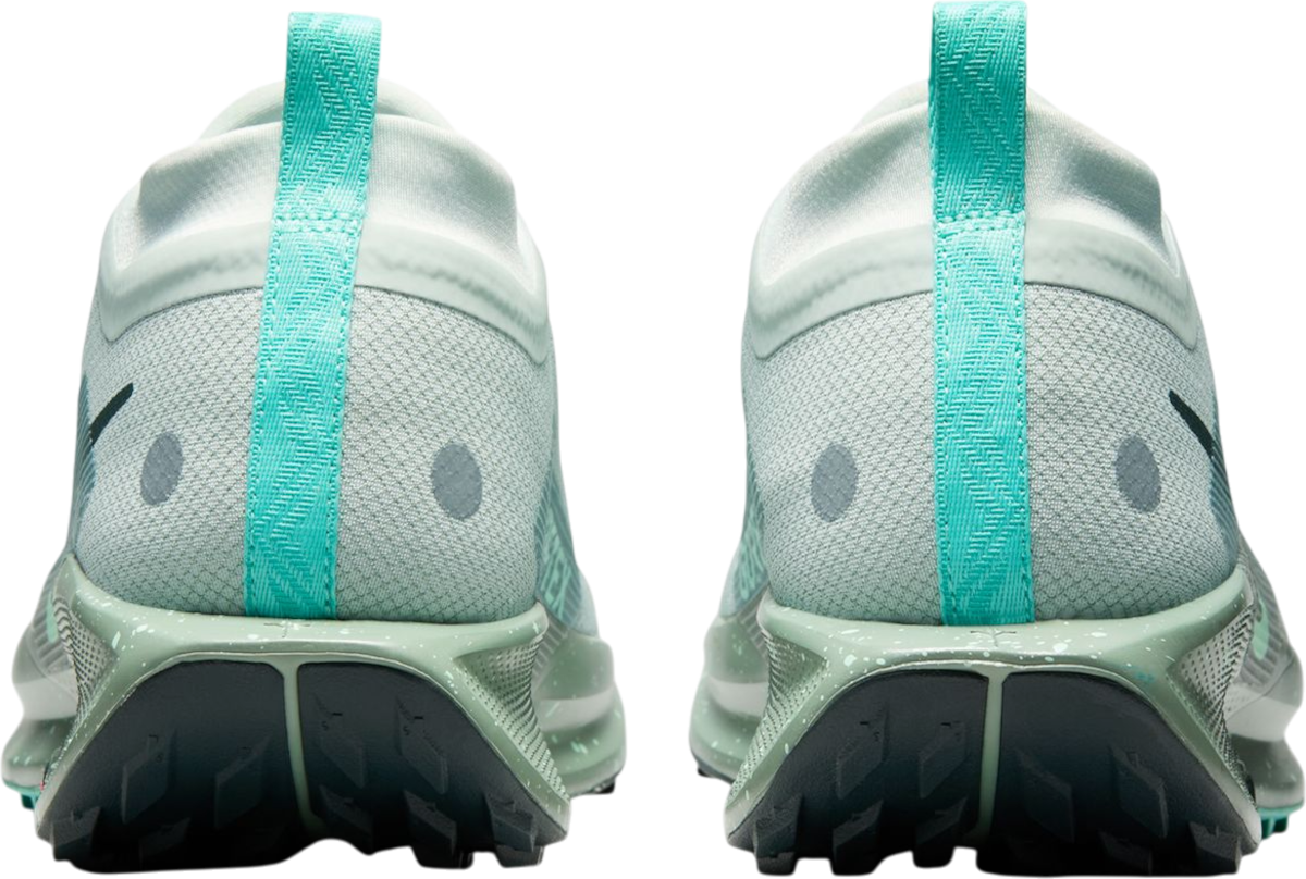 Tenisky a topánky Nike Pegasus Trail 5 GORE-TEX Zelené | fq0908-013, 1