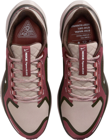 Tenisky a topánky Nike Pegasus 41 GORE-TEX Vínová | fq1357-200, 2