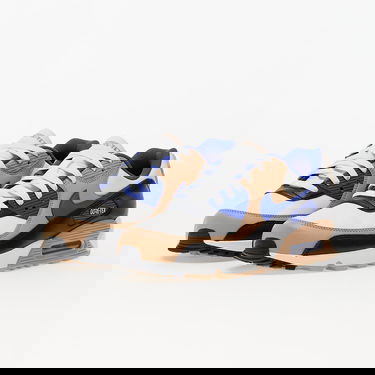 Tenisky a topánky Nike Air Max 90 GTX Summit Rôznofarebný | FD5810-100, 5