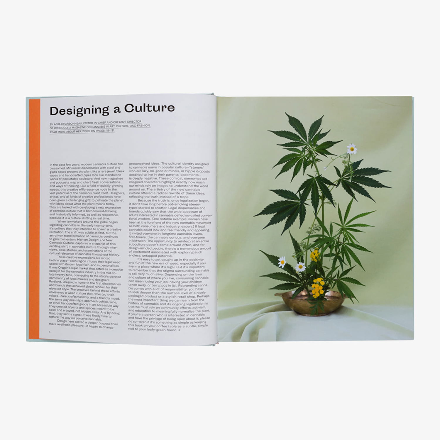 Kniha a časopis gestalten The New Canabis Culture: High On Design Universal Rôznofarebný | 58807, 1