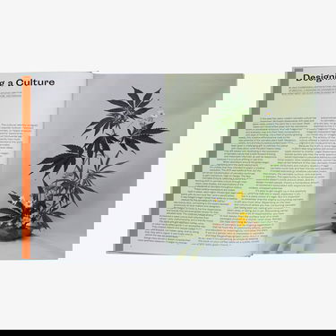 Kniha a časopis gestalten The New Canabis Culture: High On Design Universal Rôznofarebný | 58807, 1