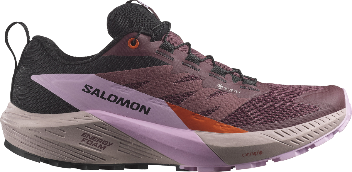 Tenisky a topánky Salomon SENSE RIDE 5 GTX W Vínová | l47592300, 0
