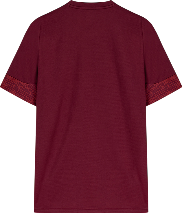 Dres Puma Galatasaray SK 2025/26 Training Jersey Vínová | 782884-03, 1