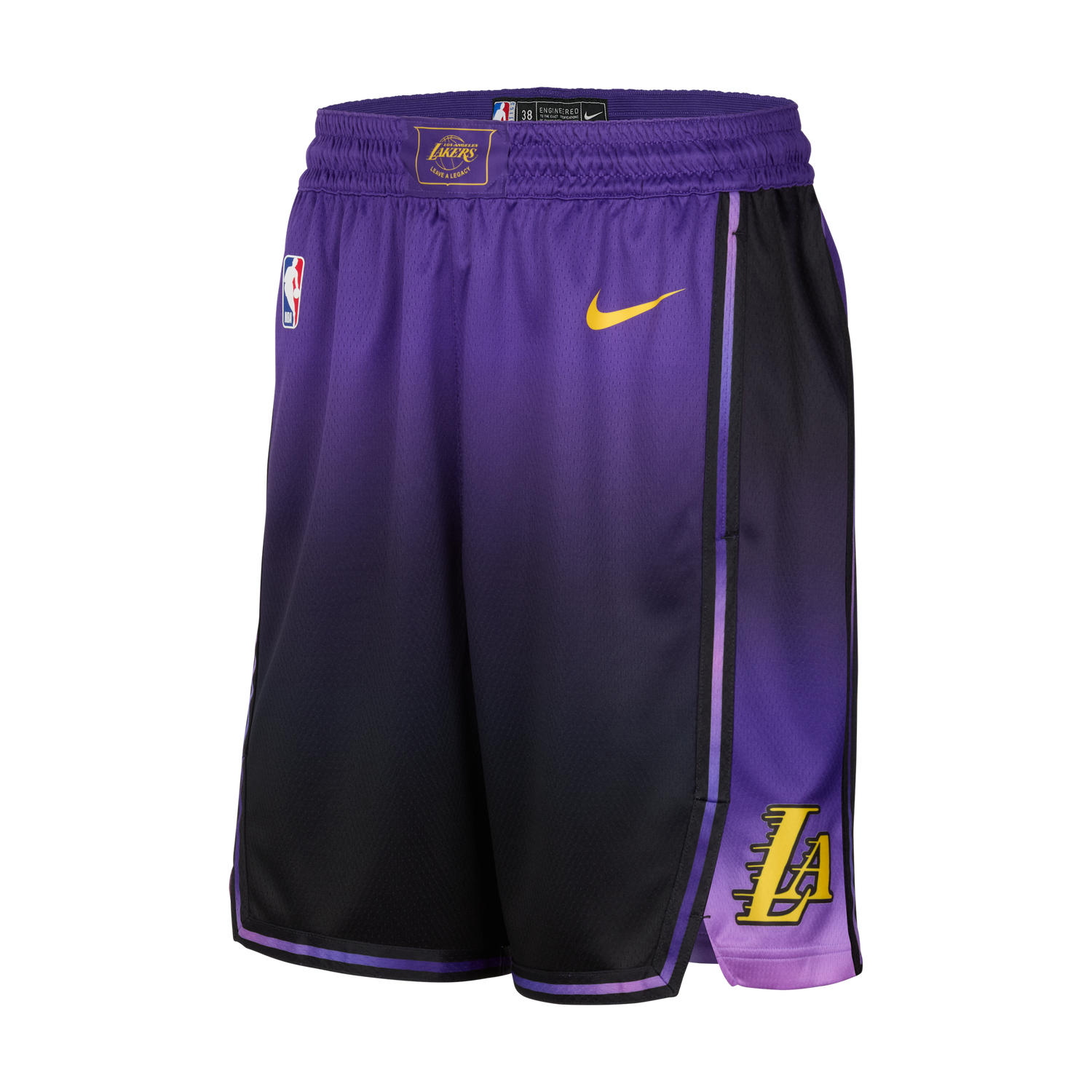 Šortky Nike Dri-FIT NBA Swingman Los Angeles Lakers City Edition 2024/25 Shorts Rôznofarebný | FQ4410-504, 0