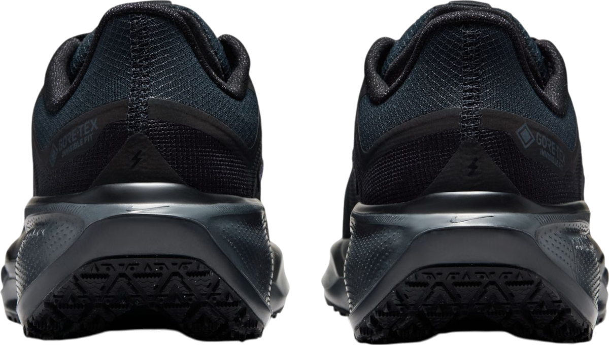 Tenisky a topánky Nike Pegasus 41 GORE-TEX Čierna | fq1357-001, 1