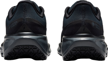 Tenisky a topánky Nike Pegasus 41 GORE-TEX Čierna | fq1357-001, 1