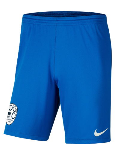 Šortky Nike Youth Park Dri-FIT Knit Short III Modrá | nzsbv6865-463