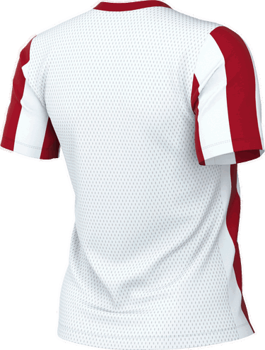 Dres Nike Nike Striped Division V Jersey Červená | fz9339-104, 1