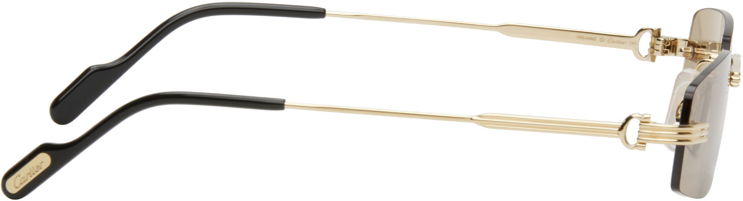 Slnečné okuliare Cartier Cartier 'Première de Cartier' Sunglasses undefined | CT0535S-003, 1