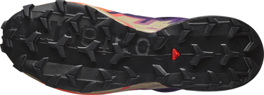 Tenisky a topánky Salomon Salomon SPEEDCROSS 6 GTX Fialová | l47980700, 2