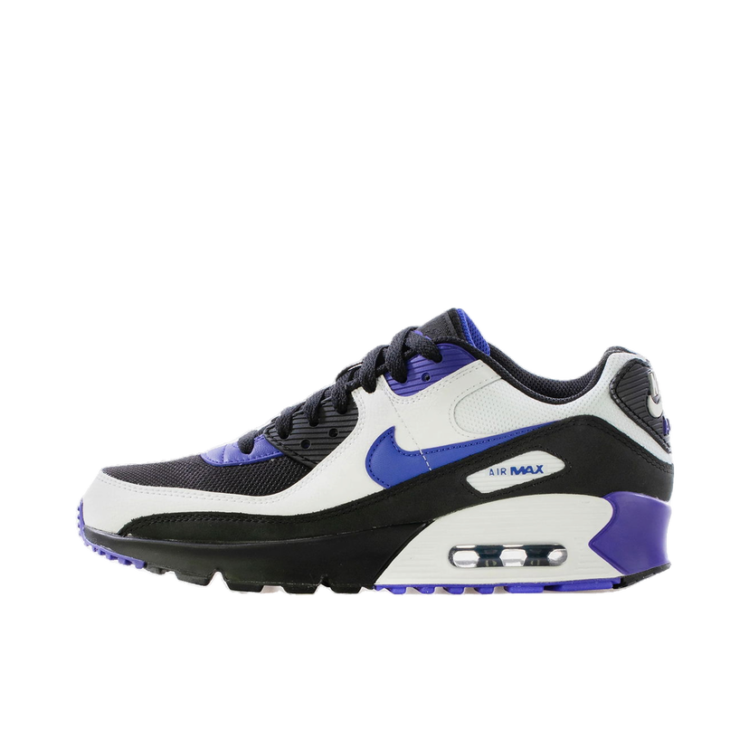 Tenisky a topánky Nike Air Max 90 LTR Fialová | CD6864-014