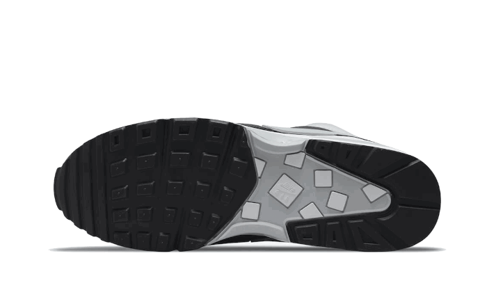 Tenisky a topánky Nike Air Max BW ''Lyon'' Šedá | DM6445-001, 1