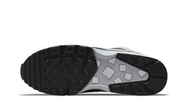 Tenisky a topánky Nike Air Max BW ''Lyon'' Šedá | DM6445-001, 1