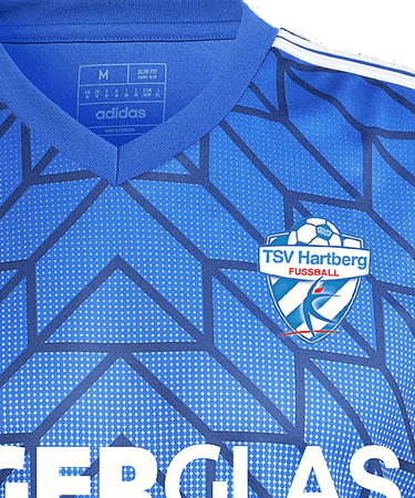 Dres adidas Originals TSV Hartberg Jersey 2024/2025 Kids Modrá | 5tsvhr2654, 2