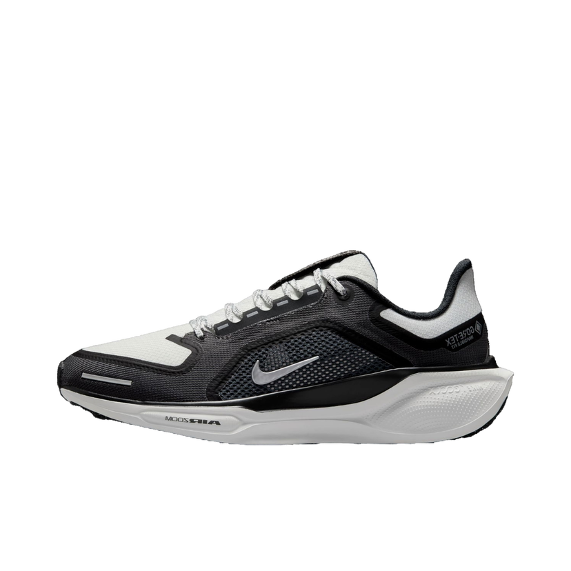 Tenisky a topánky Nike Pegasus 41 GORE-TEX Čierna | fq1357-002