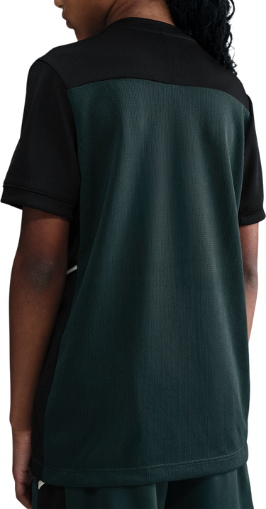 Tričko Nike Dri-FIT Academy 25 T-Shirt Zelené | hj3716-390, 2