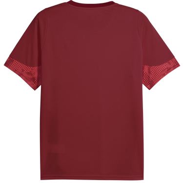 Dres Puma Galatasaray Istanbul Patterned DRYCELL Training Jersey Vínová | 949105-003, 1