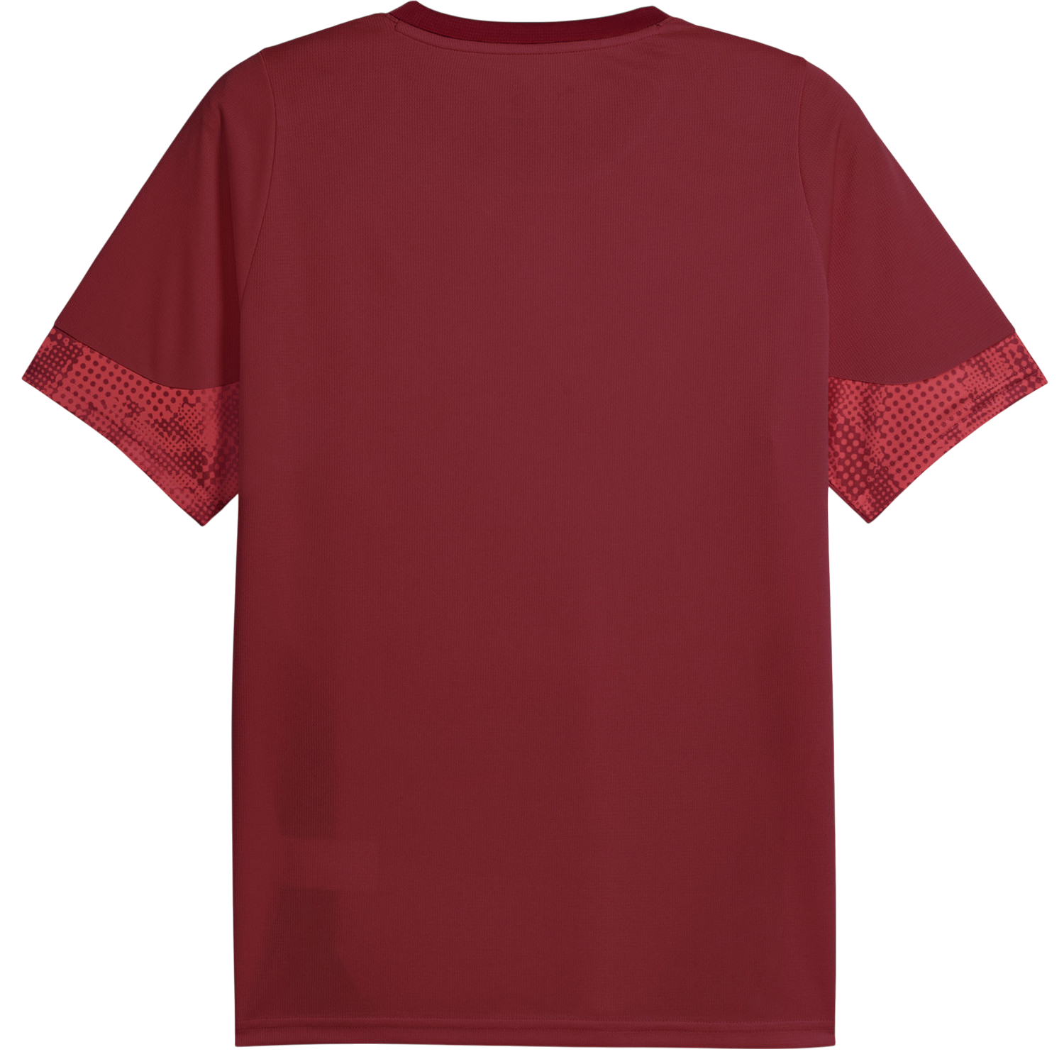 Dres Puma Galatasaray Istanbul Patterned DRYCELL Training Jersey Vínová | 949105-003, 1