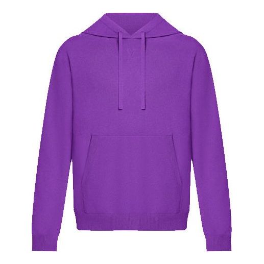 Mikina Louis Vuitton LOUIS VUITTON FW21 Embossed Logo Hoodie Fialová | 1A9FR0
