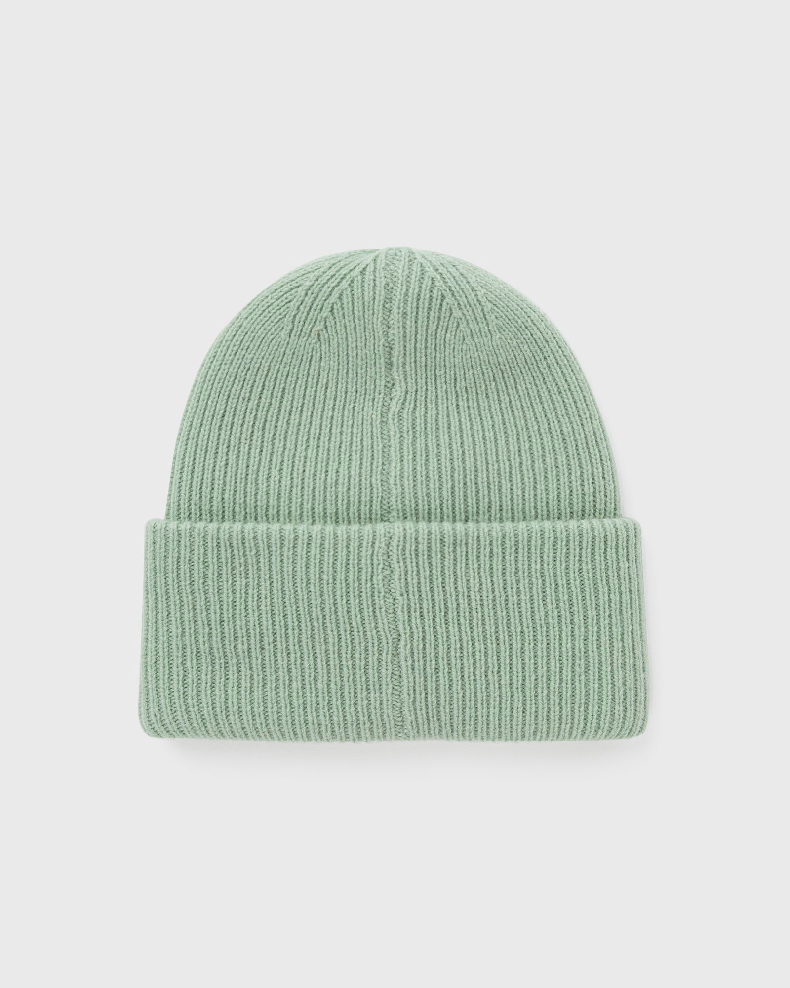 Green Ribbed Knit Beanie