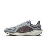 Pegasus 41 GORE-TEX