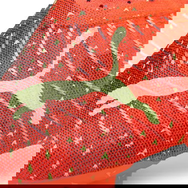 Tenisky a topánky Puma FUTURE 1.4 FG/AG Červená | 106989_03, 10