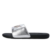 Cool Cat 2.0 Slides