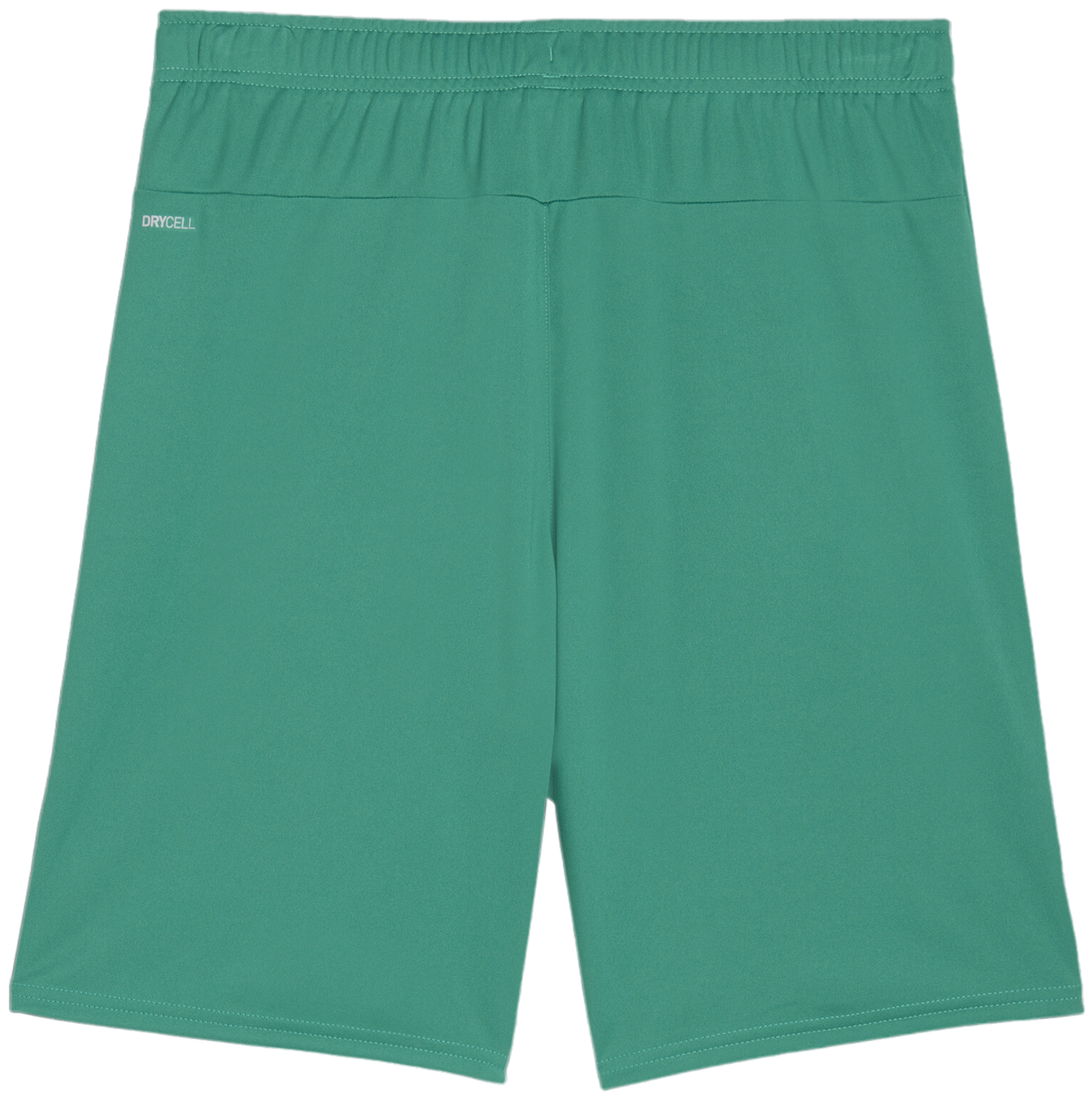 Šortky Puma teamGOAL Shorts Zelené | 705752-05, 1