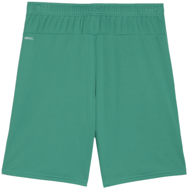 Šortky Puma teamGOAL Shorts Zelené | 705752-05, 1