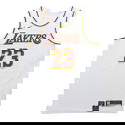 NBA Lakers James VaporKnit Jersey