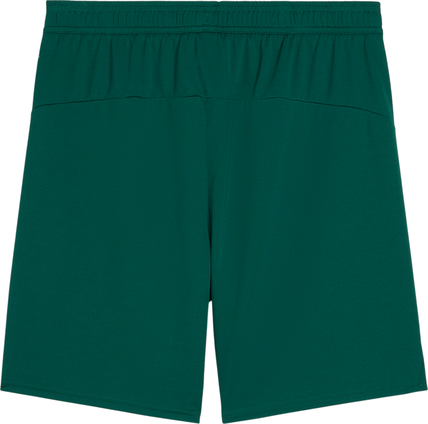 Šortky Puma Portugal 2025 Home Shorts Zelené | 779226-10, 1