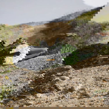 Tenisky a topánky adidas Performance adidas TERREX TRAILMAKER 2 GORE-TEX Šedá | IE5150, 4