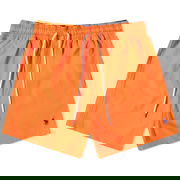 Traveller Swim Shorts