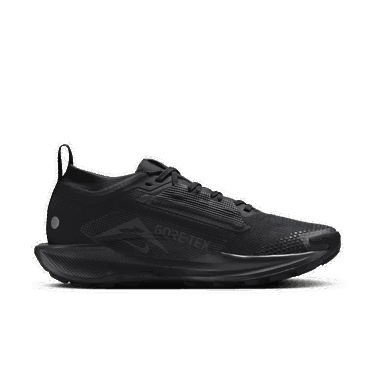 Tenisky a topánky Nike Pegasus Trail 5 GORE-TEX Čierna | FQ0912-002, 4