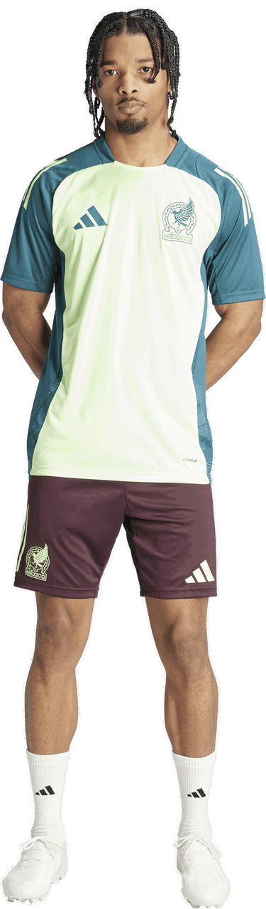 Šortky adidas Originals Mexico 2024 Tiro Training Shorts Vínová | ip6339, 4
