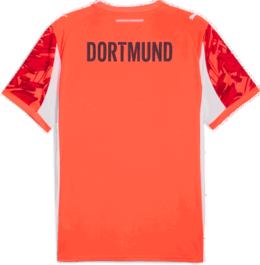 Dres Puma Borussia Dortmund Goalkeeper Replica Jersey Rôznofarebný | 946434-99, 1