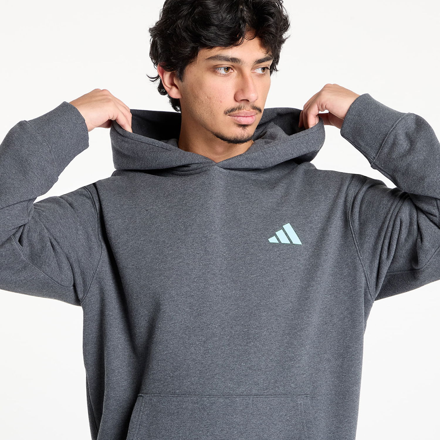 Mikina adidas Performance Mercedes-AMG Petronas Formula One Team Premium Hoodie Šedá | JX8778, 1