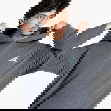 Mikina adidas Performance Mercedes-AMG Petronas Formula One Team Premium Hoodie Šedá | JX8778, 1