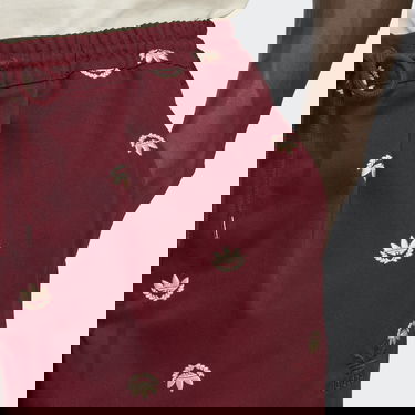 Tepláky adidas Originals Graphics Archive Chino Pants Vínová | IC5768, 2