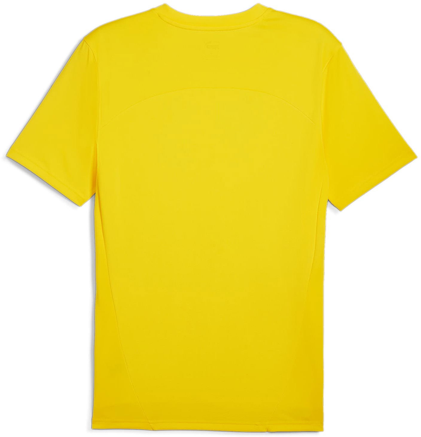 Dres Puma BVB Training Jersey Žltá | 946271-01, 1