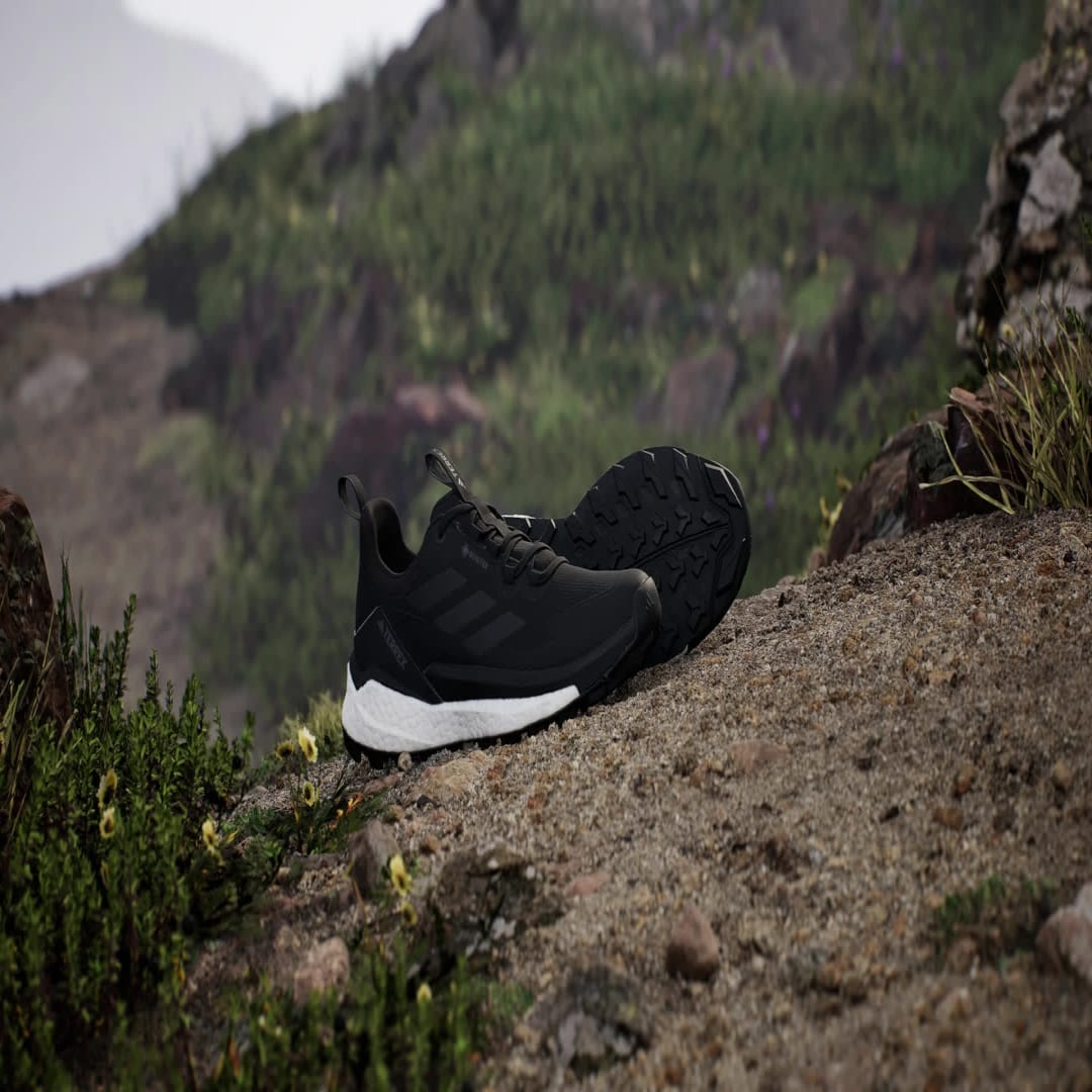 Tenisky a topánky adidas Performance Terrex Free Hiker 2.0 Low Gore-Tex Čierna | IH0671, 1