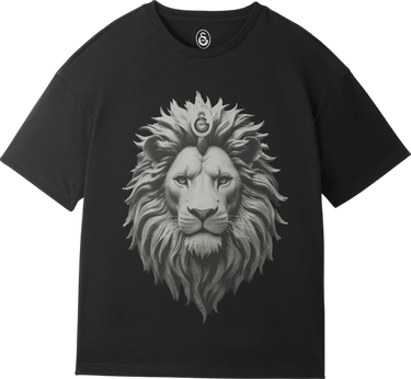 Tričko Puma Galatasaray Istanbul Oversized Lion Graphic T-Shirt Čierna | e251069-010, 0